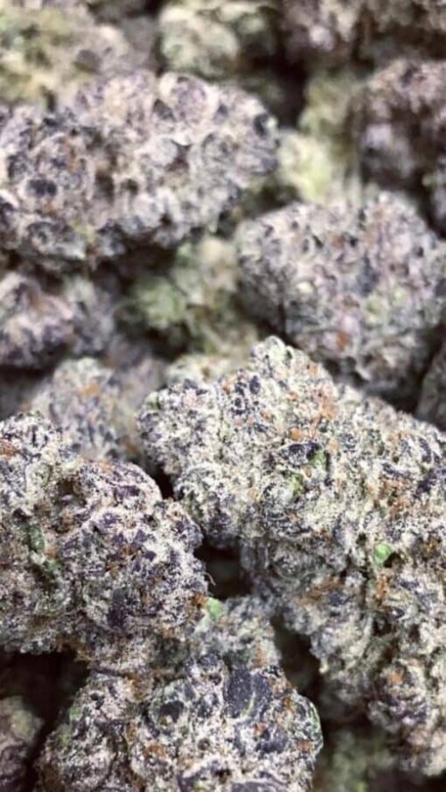 Visit us - https://josh420buds.com/product/white-runtz-strain/

The White Runtz strain is a purple weed covered in white trichomes, the name of this strain really describes it adequately. Visit josh420buds.com to know more.