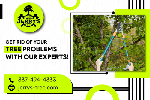 Dead or dying trees are dangerous eyesores. Let the trained and insured professional arborists at Jerry’s Tree Service remove such trees from your property today. Good pruning will keep your trees and bushes healthy and looking good. Get in touch with us!