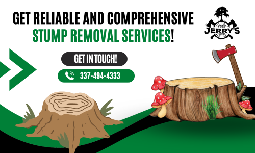 Revive your landscape's beauty with expert stump removal in Lake Charles, Louisiana! Jerry’s Tree Service has super-trained crew removes unsightly stumps, restoring your yard's charm. Affordable, efficient, and eco-friendly solutions for a cleaner, safer outdoor space. Reach us today for a stump-free haven!