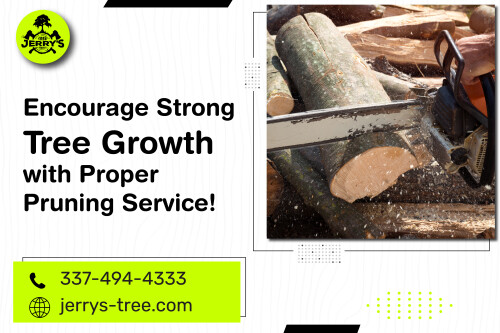 Experience the artistry of tree pruning in Lake Charles like never before. Jerry’s Tree Service has super-skilled arborists will transform your landscape, enriching its beauty and ensuring the health of your trees. With precision and care, we'll create a harmonious balance between nature and aesthetics. Choose excellence for your trees in Lake Charles.