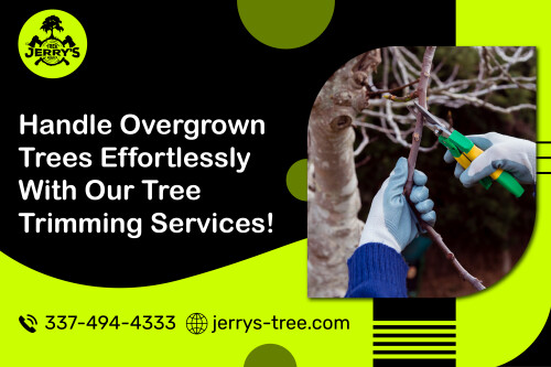 Foster the beauty and health of your trees with professional tree trimming in Lake Charles, Louisiana. Jerry’s Tree Service has expert arborists who provide meticulous trimming services that promote proper growth and maintain the structural integrity of your trees. Trust us to bring out the best in your landscape while ensuring safety and longevity.