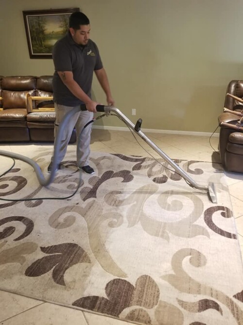The crew at Oopssteam.com is here to help! Our specialised oops! steam cleaning services are made to eliminate even the most difficult problems. Count on us to easily and conveniently restore your home!


https://oopssteam.com/tomball/area-rug-cleaning/